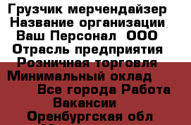 Грузчик-мерчендайзер › Название организации ­ Ваш Персонал, ООО › Отрасль предприятия ­ Розничная торговля › Минимальный оклад ­ 12 000 - Все города Работа » Вакансии   . Оренбургская обл.,Медногорск г.